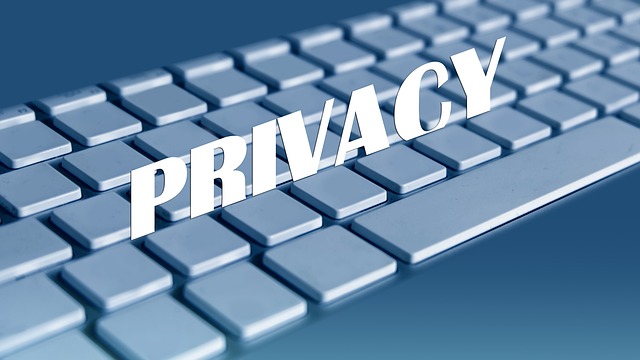Faeser für Grundgesetzänderung bei Cybersicherheit: Bitkom Chef kritisiert Eingriffe in Privatsphäre