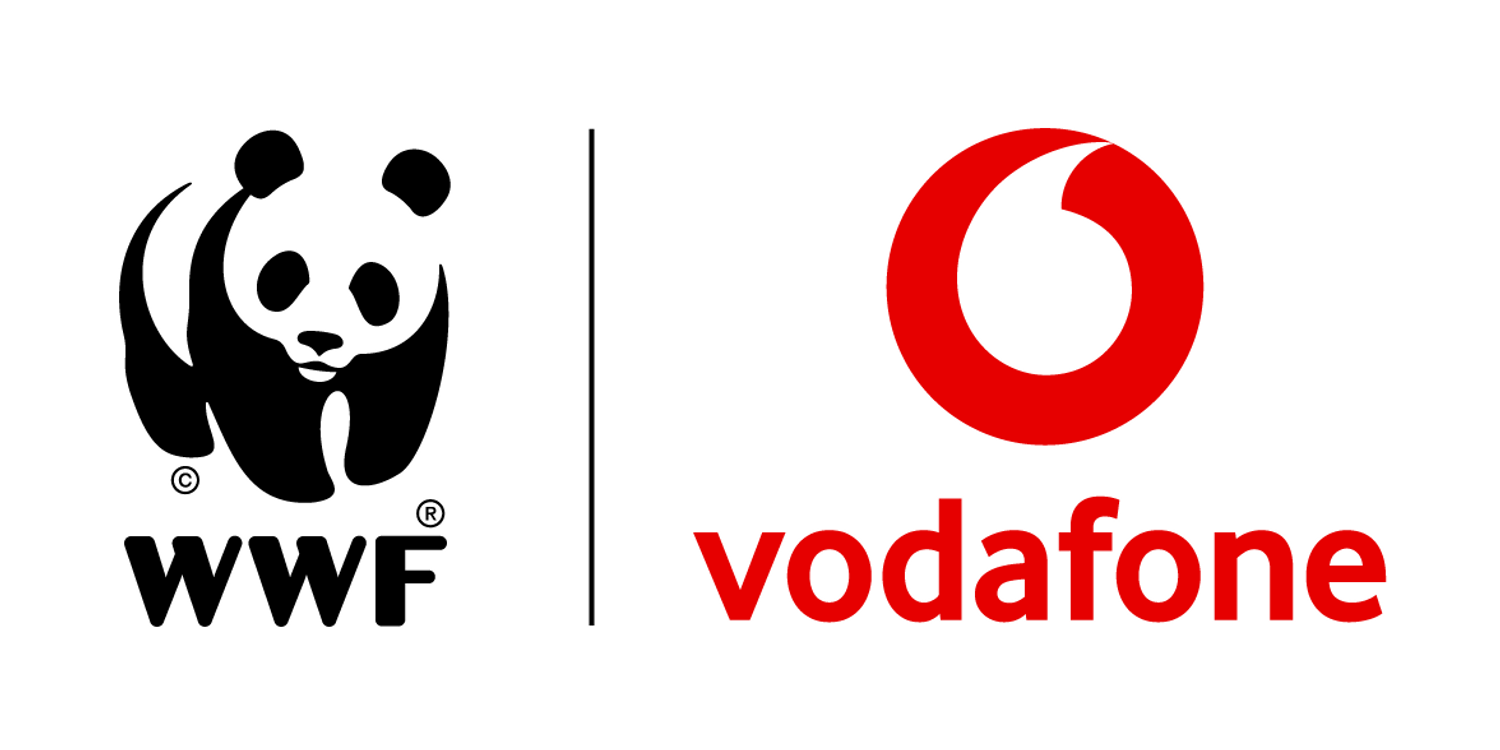 Vodafone und WWF sammeln 1 Million alte Handys und spenden 1 Million Pfund. Wie sinnvoll ist die Aktion wirklich? Analyse, Zahlen und Hintergr�nde.